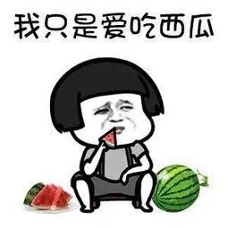 娱乐吃瓜酱专属梗是什么,网络热词背后的趣味与智慧