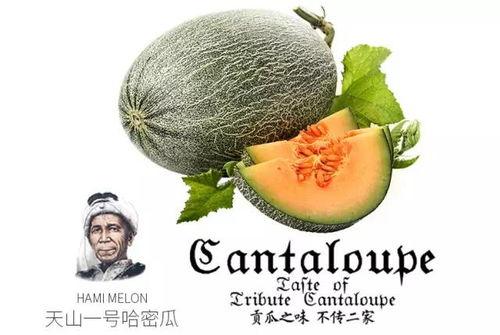 娱乐吃瓜配乐推荐一下